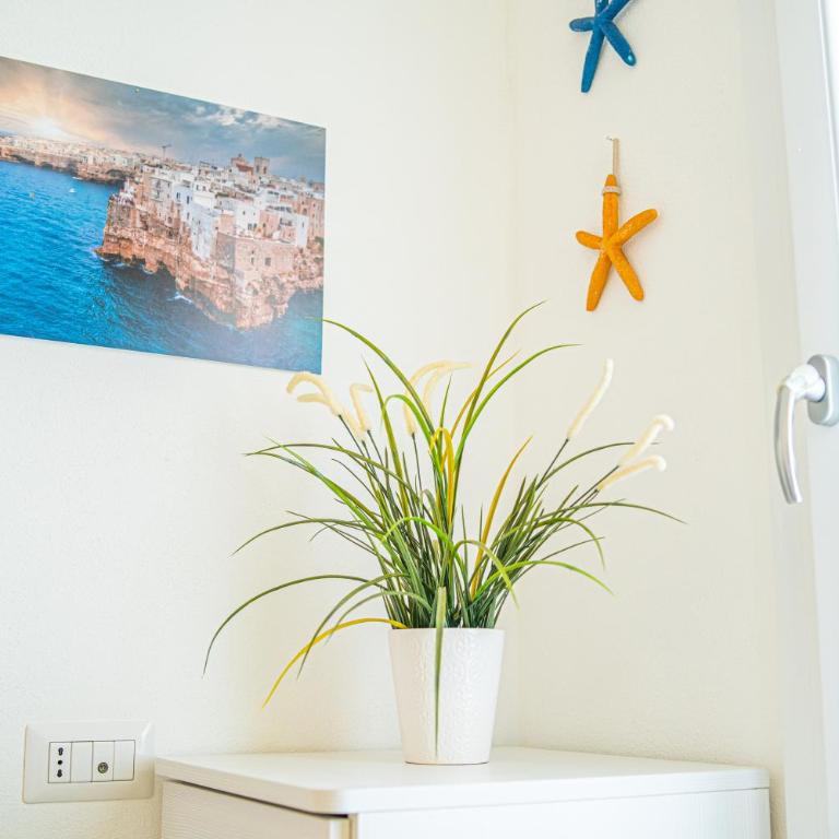 Villa Teresa Elegant & Relaxing Holiday Home with private hydro spa pool - Vacation Home - 31