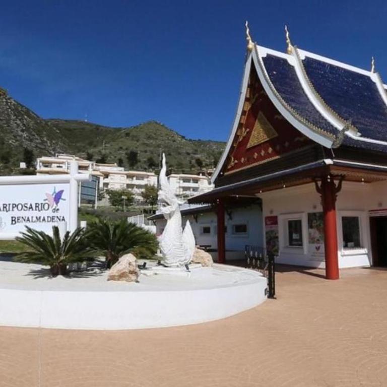 BenalBeach Yasmine - Apartamento con vistas al jardín - 24