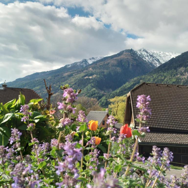 Ferienhaus Herrenschmiede - Haus mit 2 Schlafzimmern - 53