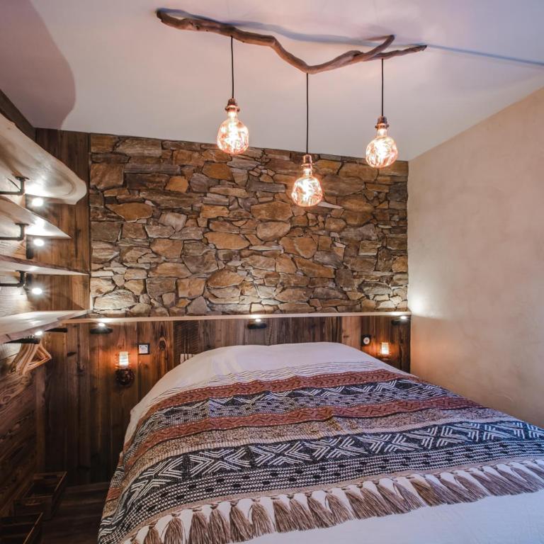 Le GoOfy, Centre, Navettes pistes ski Combloux - Appartement 1 Chambre - 3