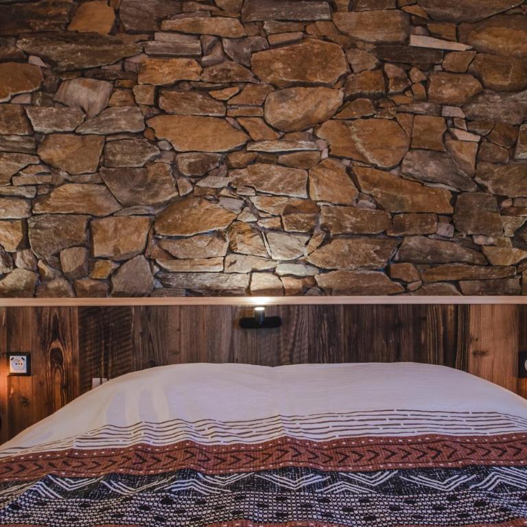 Le GoOfy, Centre, Navettes pistes ski Combloux - Appartement 1 Chambre - 7