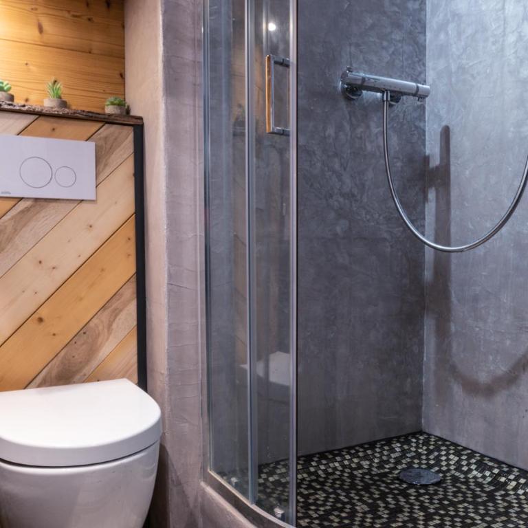 Le GoOfy, Centre, Navettes pistes ski Combloux - Appartement 1 Chambre - 18