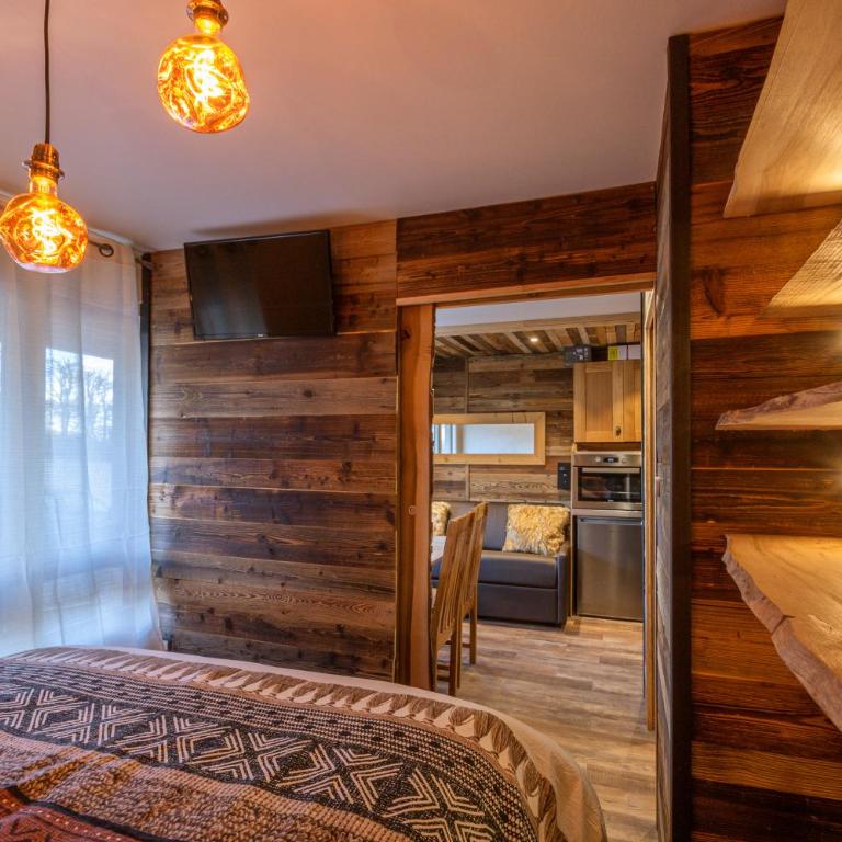 Le GoOfy, Centre, Navettes pistes ski Combloux - Appartement 1 Chambre - 34