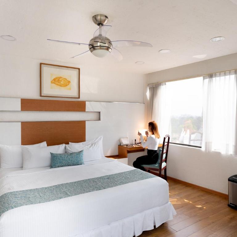 Suites Coben Apartamentos Amueblados - Suite Junior - 3