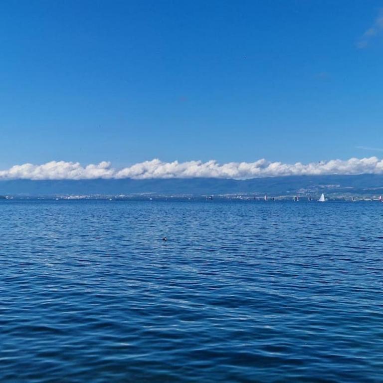 La Grande Mouette - Appartamento con 2 Camere da Letto - 12