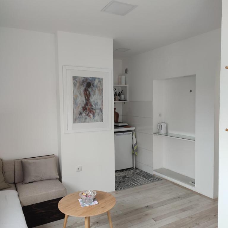 Apartman Park - Apartman sa 1 Spavaćom Sobom - 4