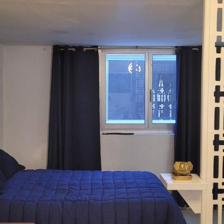 Vive el corazón de la Ciudad de México - One-Bedroom Apartment - 18