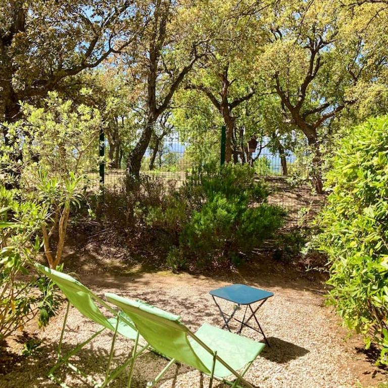 Les Restanques rez jardin 2063 - One-Bedroom Apartment - 10