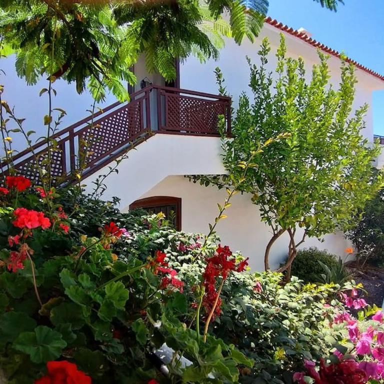 Appartamento fronte oceano in Amarilla Golf L483 - Apartamento de 1 dormitorio - 8