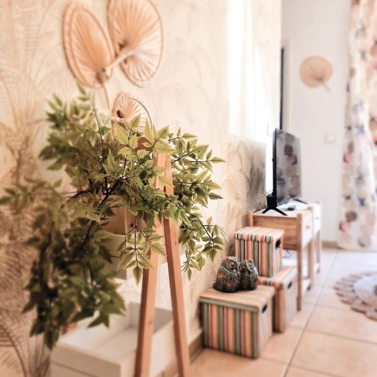 Apartamento Tropical en playa del inglés - Two-Bedroom Apartment - 5