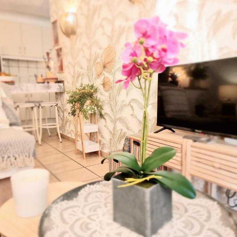 Apartamento Tropical en playa del inglés - Two-Bedroom Apartment - 4