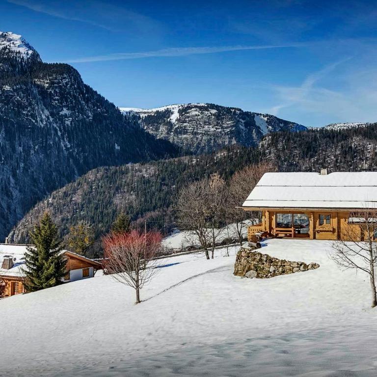 Chalet Flocon Magique - OVO Network - Chalet - 20