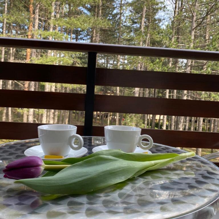 Miris tisine - Apartman sa 1 Spavaćom Sobom - 21