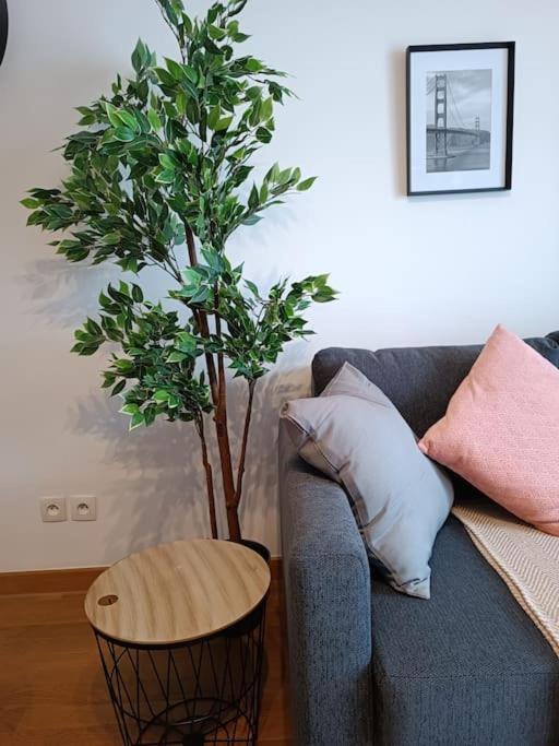 T3 Lumineux - Berges de la Garonne - Parking - Apartamento de 2 dormitorios - 11