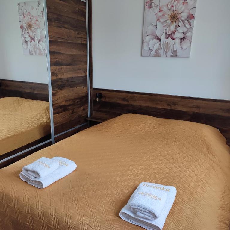 Apartman Desanka - One-Bedroom Apartment - 6