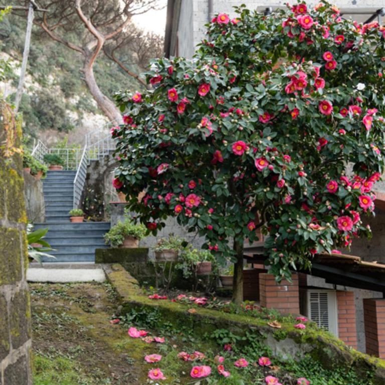 SorrentoVibes - Sea view Rooftop Apartment with Jacuzzi & Garden - Appartamento con 2 Camere da Letto - 56