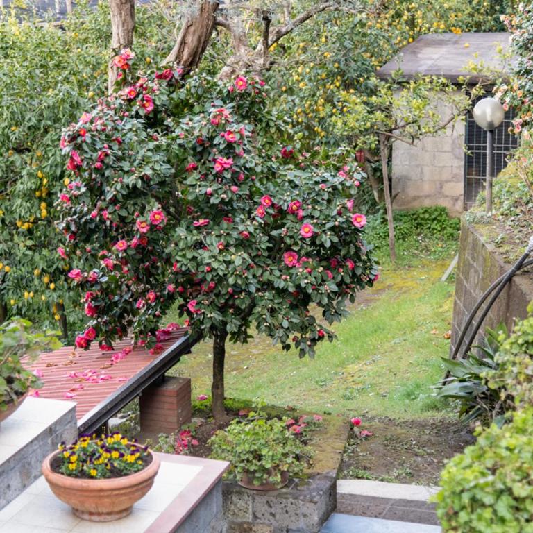SorrentoVibes - Sea view Rooftop Apartment with Jacuzzi & Garden - Appartamento con 2 Camere da Letto - 45