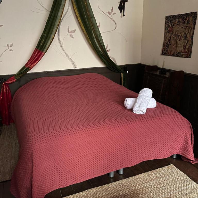 Une Nuit Comme Un Chevalier! Coeur historique - Hypercentre. - Appartement 1 Chambre - 4