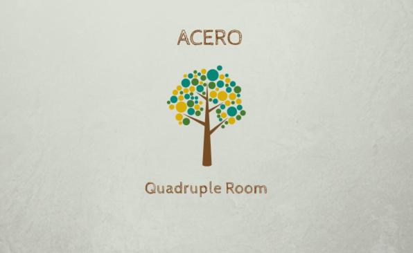 Guesthouse Tree Rooms Industrial - Camera Quadrupla con Bagno in Comune - 22
