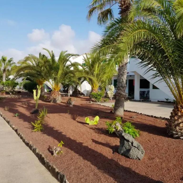 GuestReady - Cotillo Los Lagos 41 Agustin Peñate - Apartamento - 21