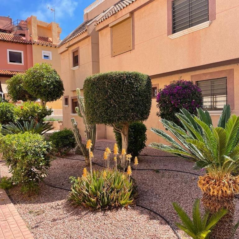 Apartament La Mata Torrevieja - Apartamento con vistas al mar - 4