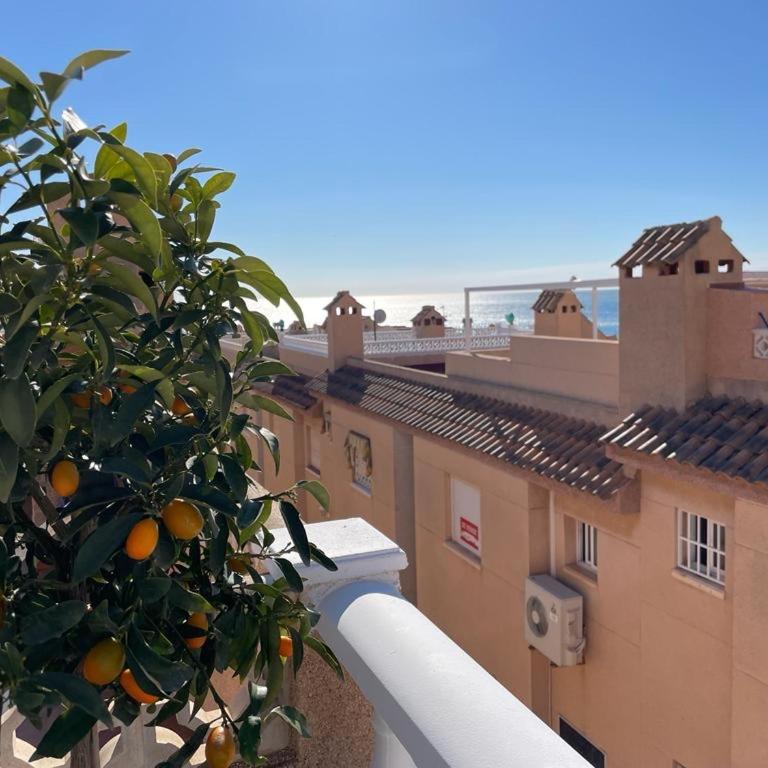 Apartament La Mata Torrevieja - Apartamento con vistas al mar - 14