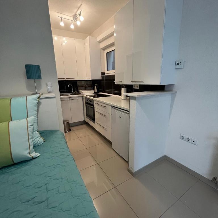 APARTMANI VIJEĆNICA - Studio - 1