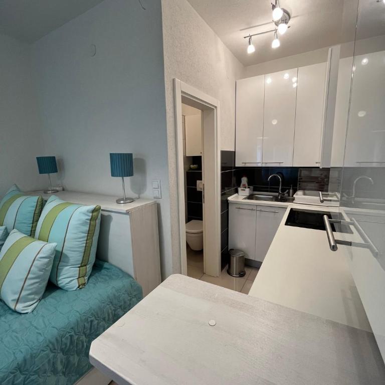 APARTMANI VIJEĆNICA - Studio - 3