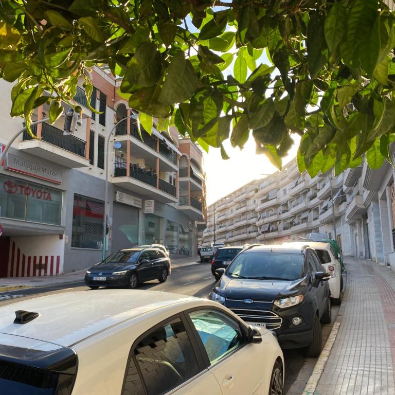 Apartment with solarium/terrace. - Apartamento de 1 dormitorio - 52