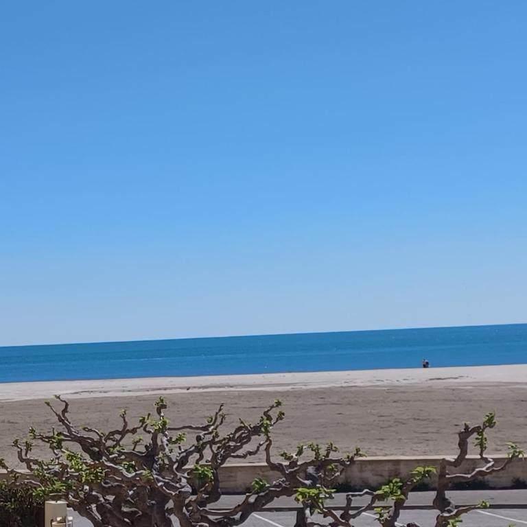 Superbe appartement avec vue sur le port et plage - Apartamento de 1 dormitorio - 5