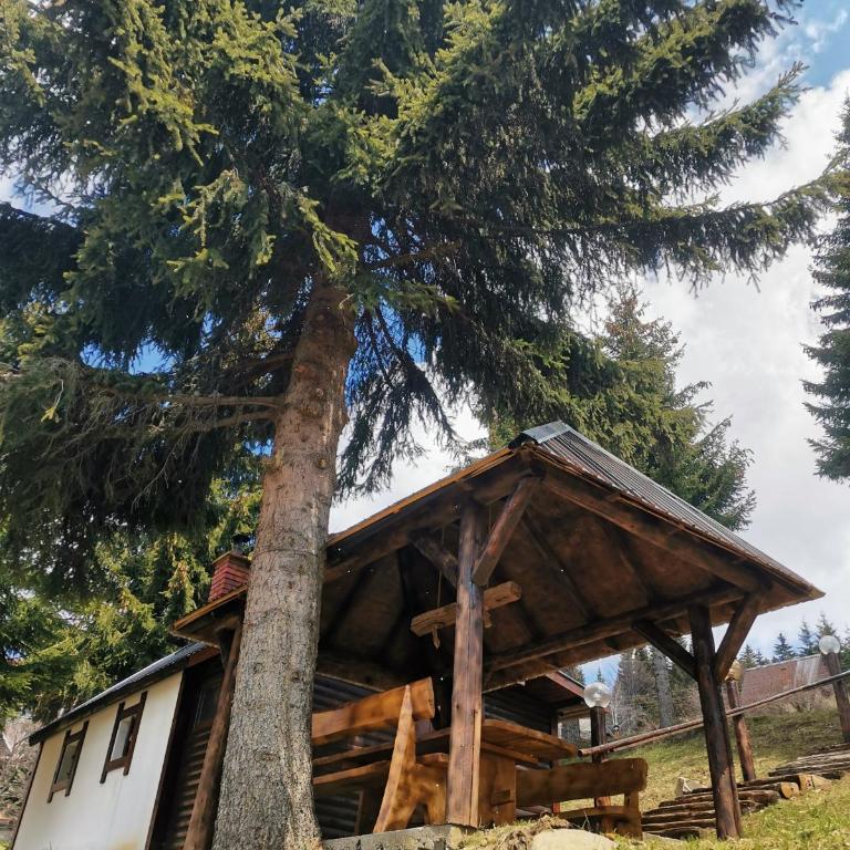 Vikendica Čeperković #2 - One-Bedroom Chalet - 25