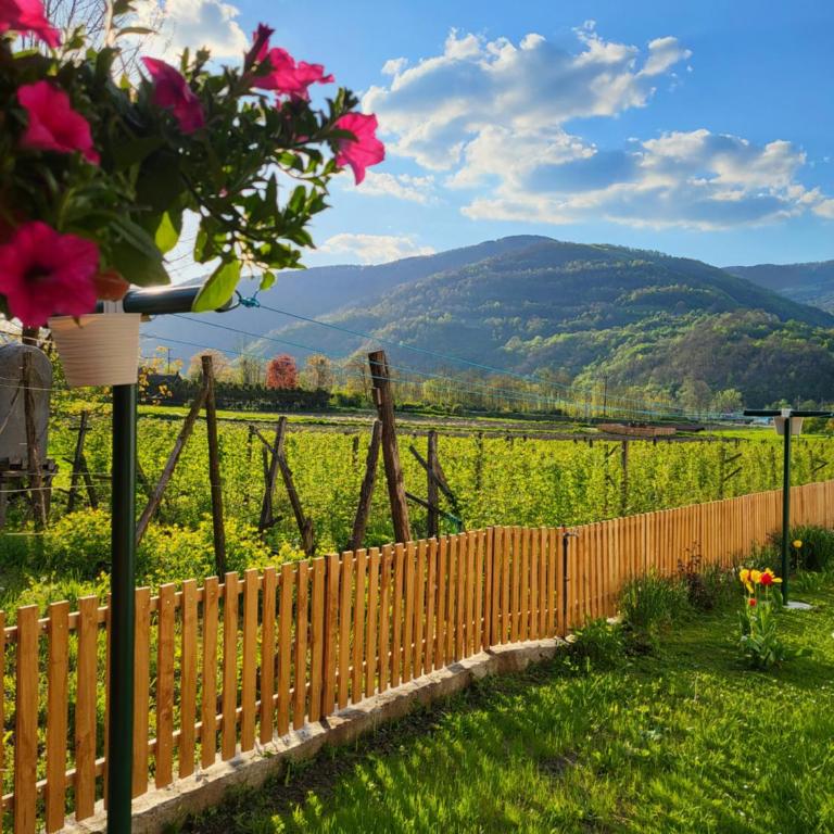 STD Gavrilović - Apartman - 11