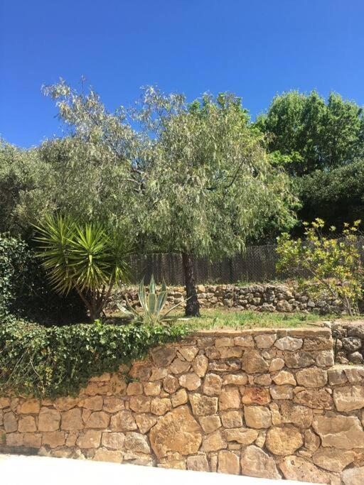 Villa sur les hauteurs de Bandol Sanary-sur-mer - Villa - 24
