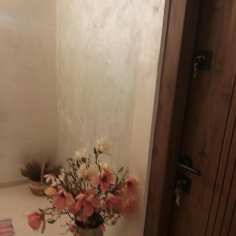 Villa Mare Apartments - Studio sa Pogledom na Planinu - 12