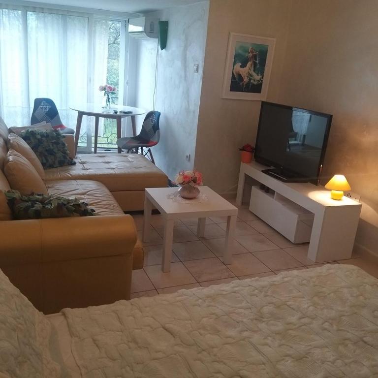 Villa Mare Apartments - Studio sa Pogledom na Planinu - 11