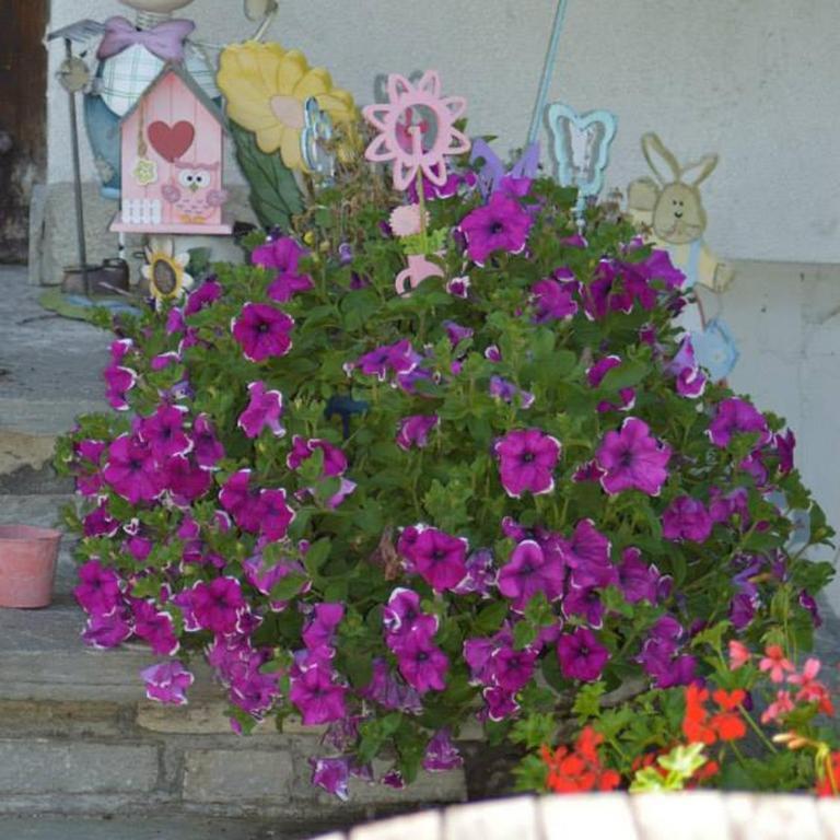 Haus Susanne - Haus mit 5 Schlafzimmern - 8