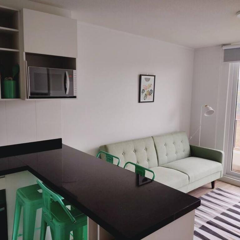 Departamento humedal 619 - One-Bedroom Apartment - 10