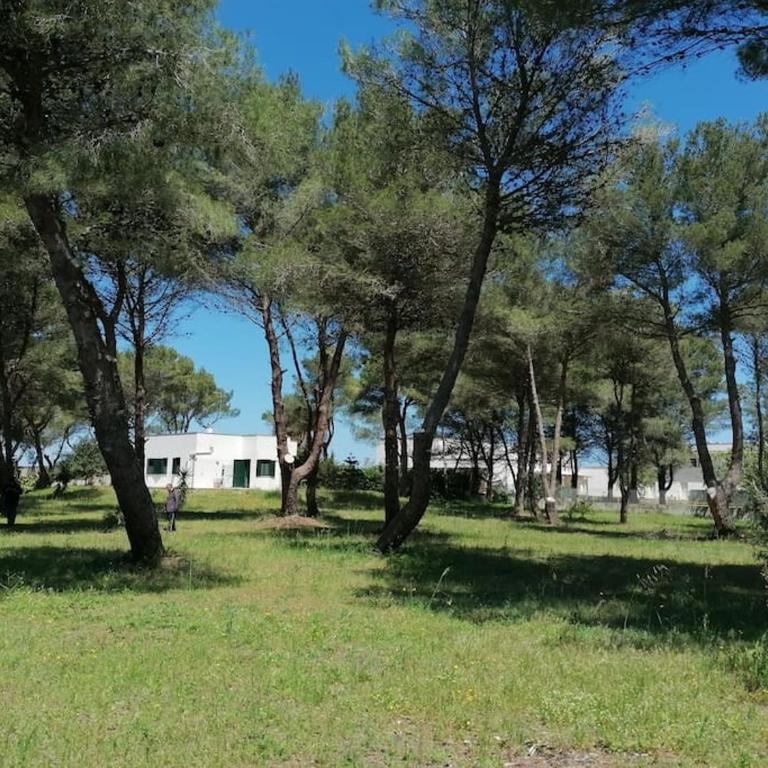 The Shining House near the sea - Casa con 3 Camere da Letto - 10