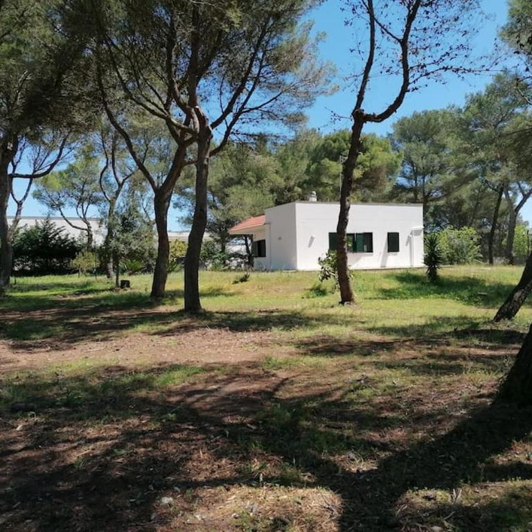 The Shining House near the sea - Casa con 3 Camere da Letto - 15