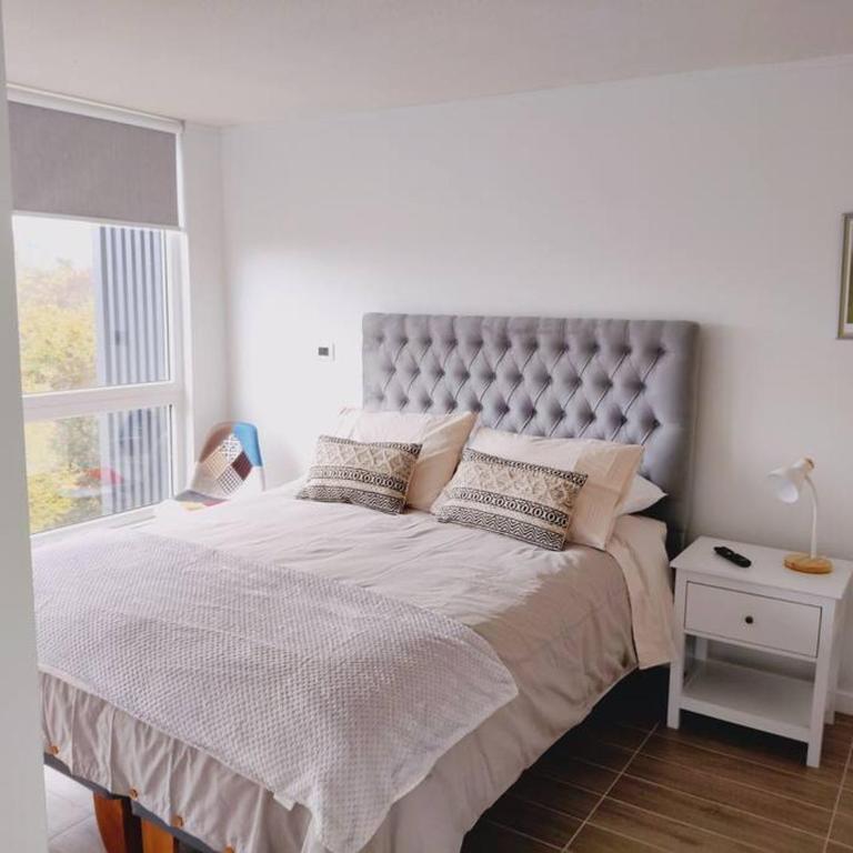 Departamento Isla Teja 519 - One-Bedroom Apartment - 2