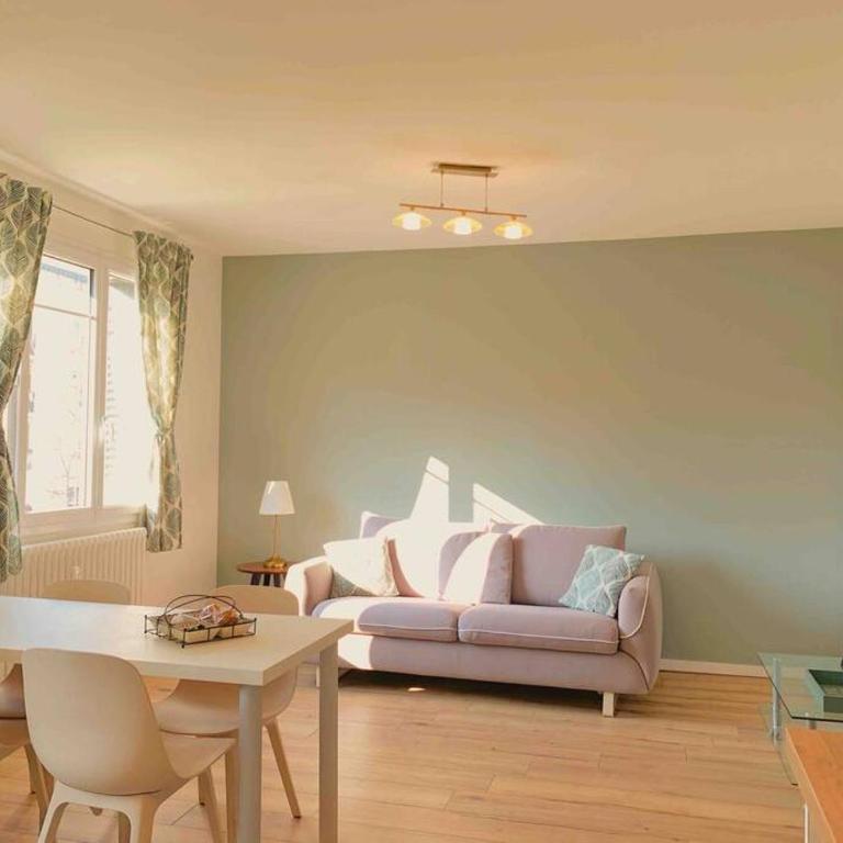 Residence Lyon Centre Gare PartDieu - Parking prive - Appartement 1 Chambre Supérieur avec Balcon - 3