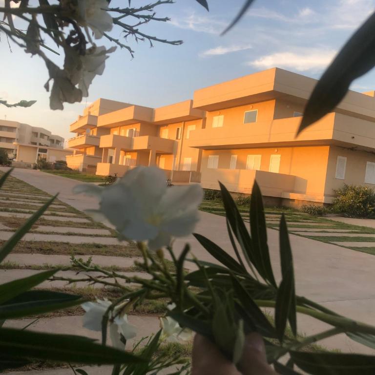 Residence Romeo - Appartamento Attico - 1