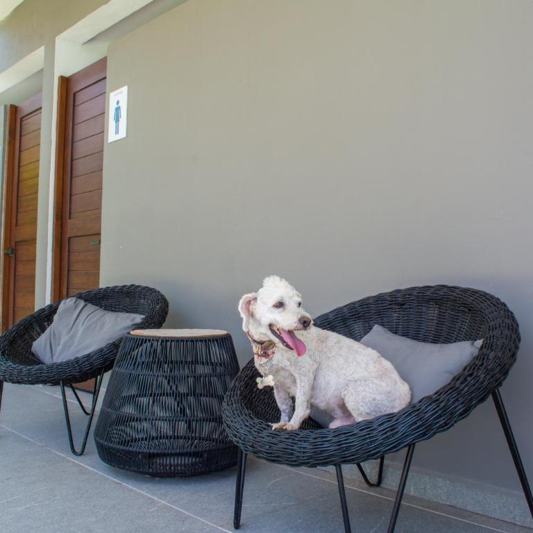 Paraíso Playa Bonita- Roof Top - Three-Bedroom House - 23