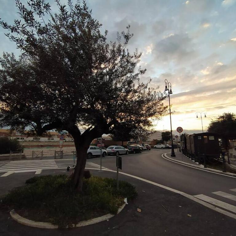 Casa degli Alberi - Appartamento Monolocale con 1 Letto Matrimoniale - 4