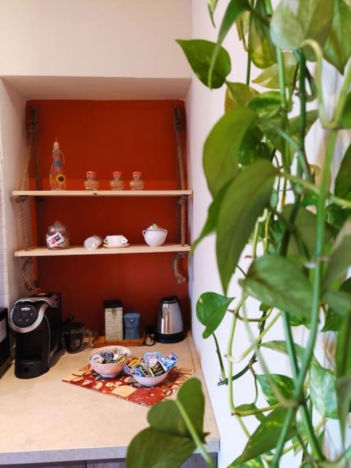 Casa degli Alberi - Appartamento Monolocale con 1 Letto Matrimoniale - 23