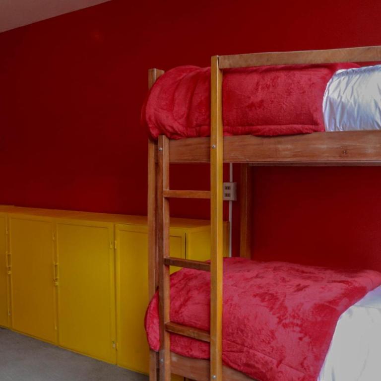 Lobo Hostel La Paz - Cama en habitación compartida de 8 camas - 1