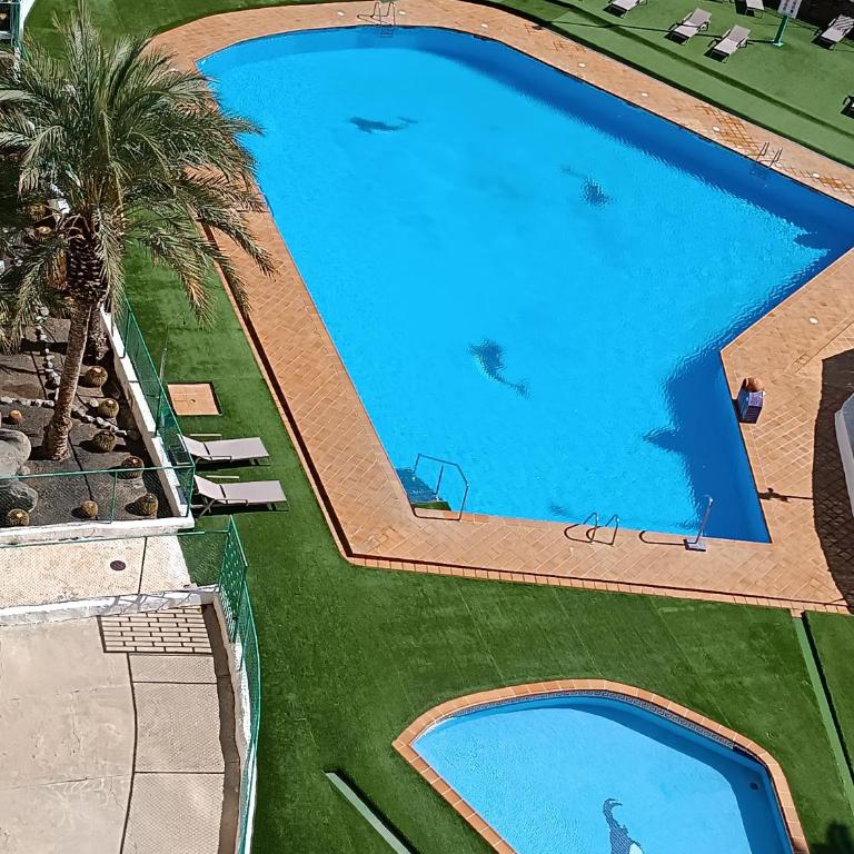 Molinos holidays playa del inglés - Apartment with Terrace - 15