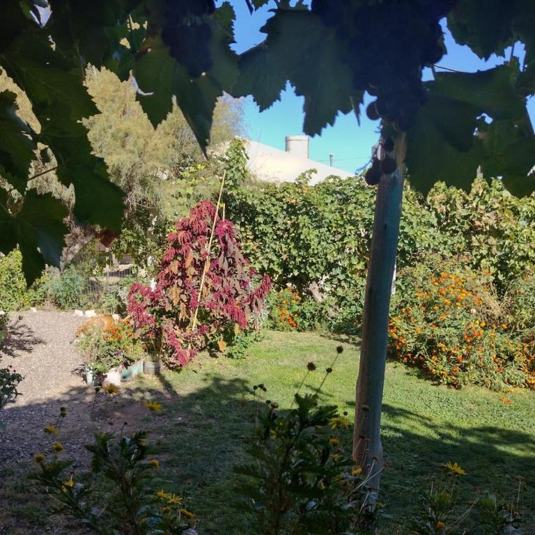 Oasis Pa Clau - Three-Bedroom House - 30