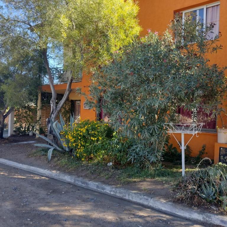 Oasis Pa Clau - Three-Bedroom House - 31