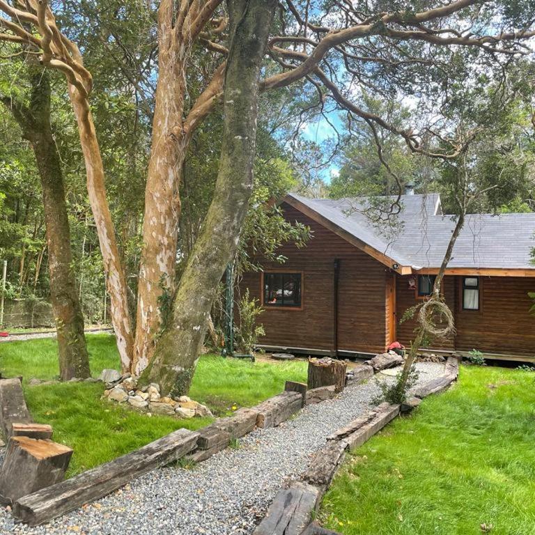 Cabaña del bosque con estero - Two-Bedroom House - 5